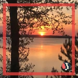 Meet your Posher, Emmet's rat